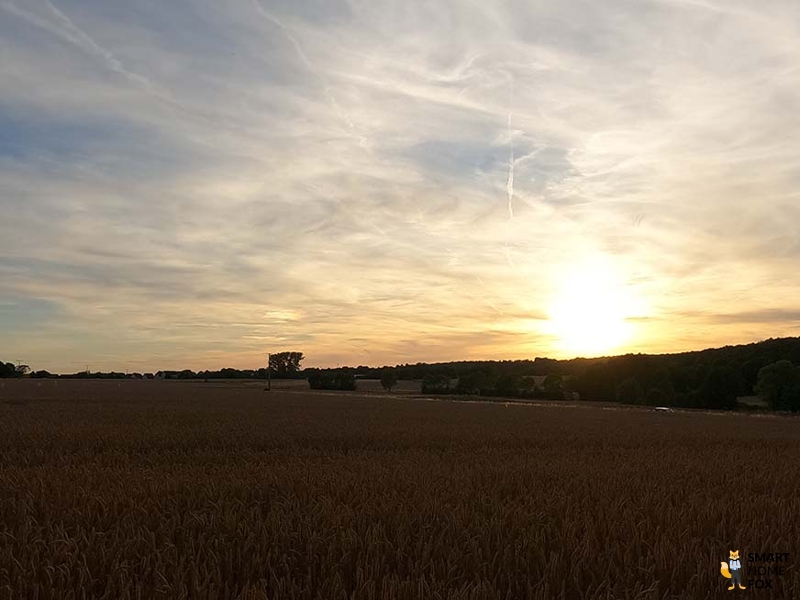 Man sieht eine Aufnahme, die mit der GoPro Hero 9 im Zoom-Modus gemacht wurde.